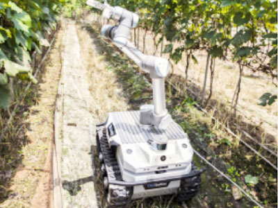 研究機関での活用事例